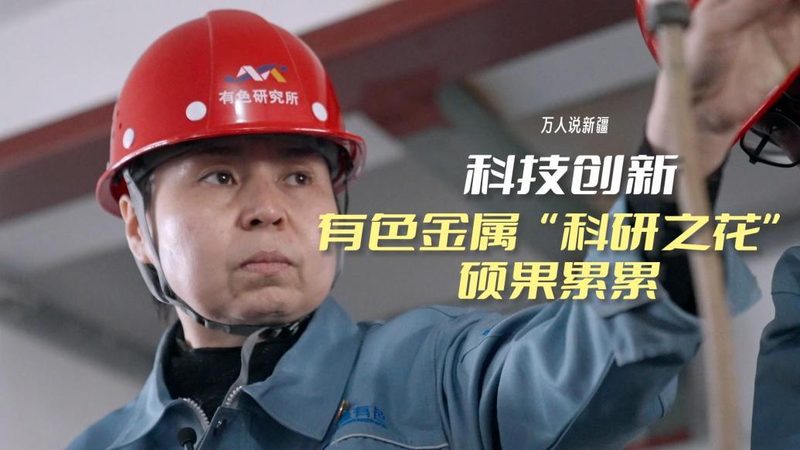 企业信息化平台定制：成本构成与考量因素**